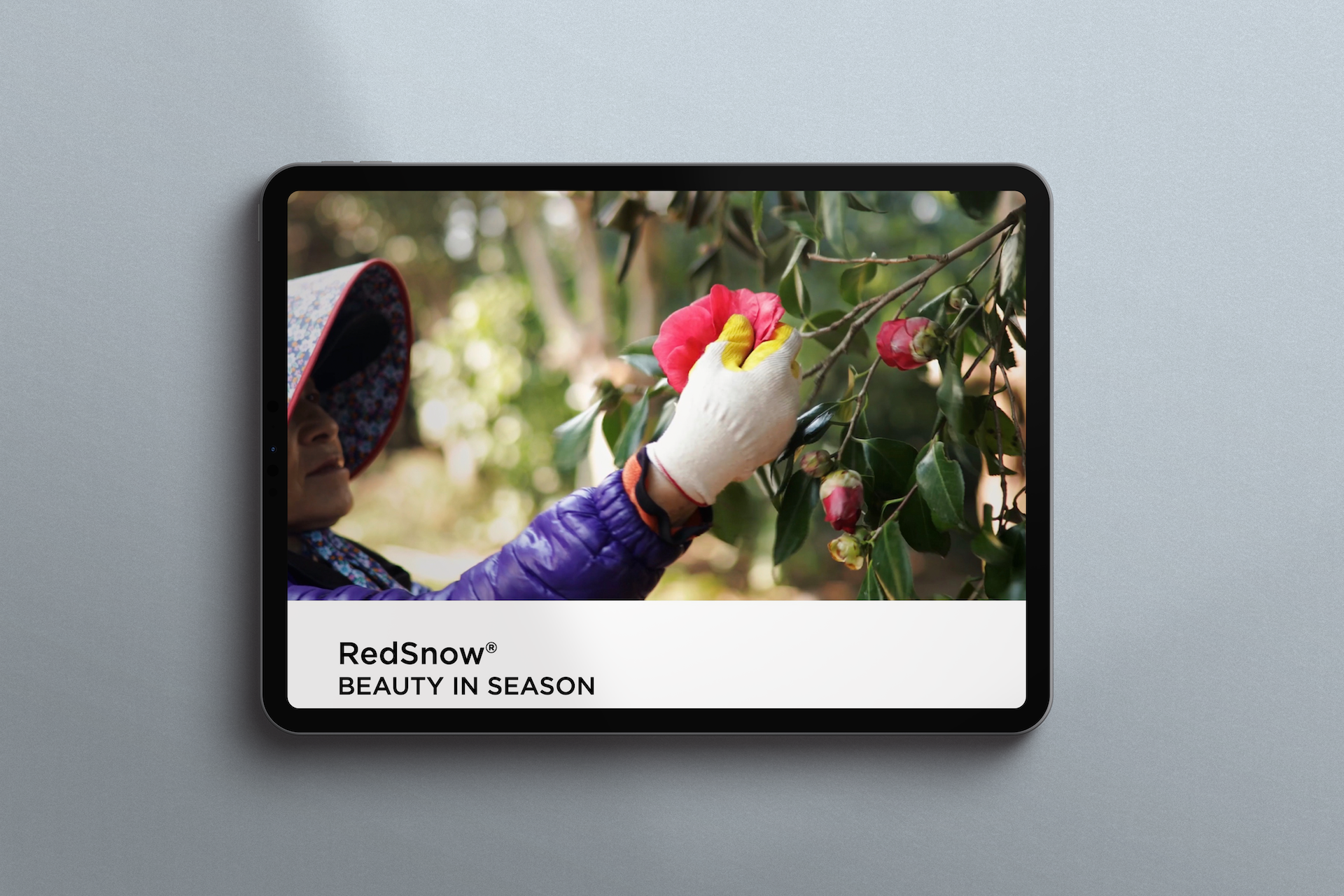 clariant mockup 5.png