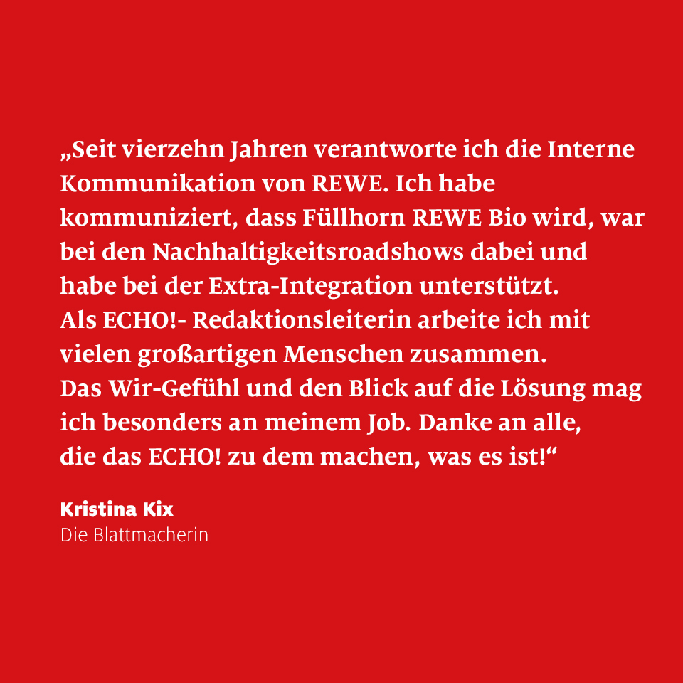 REWE Echo 4er 03.jpg