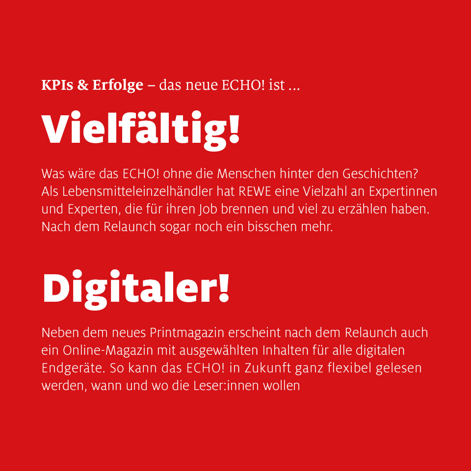 REWE Echo 4er 04.jpg